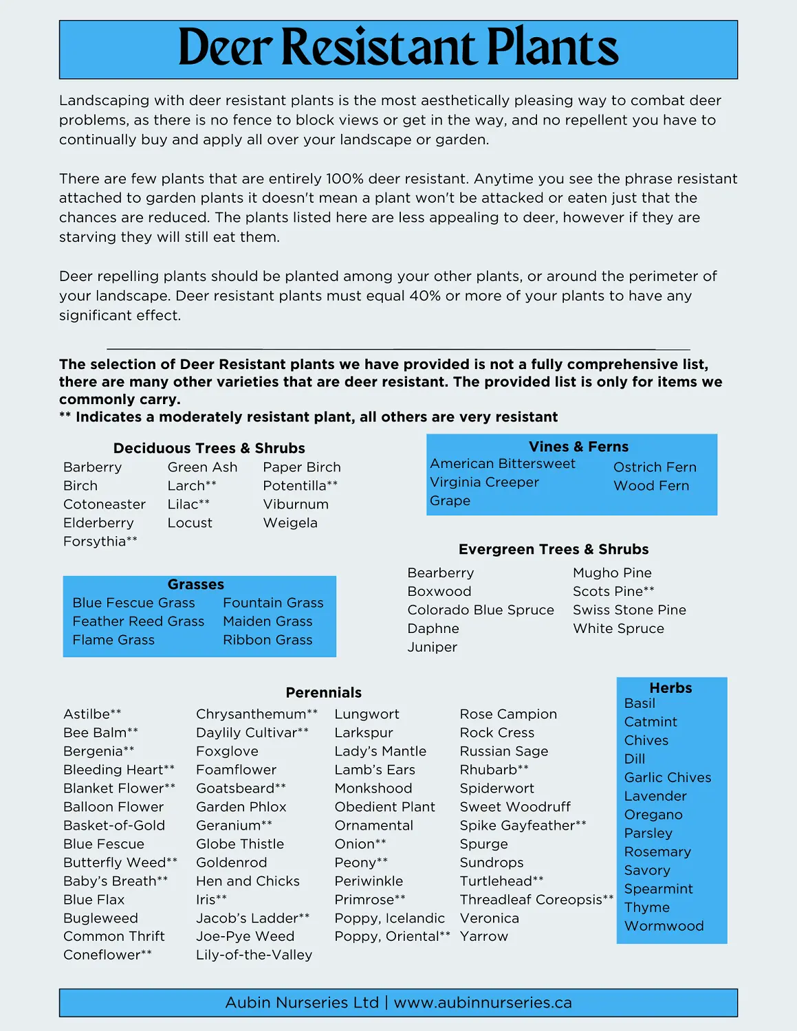 Deer Resistant Plants