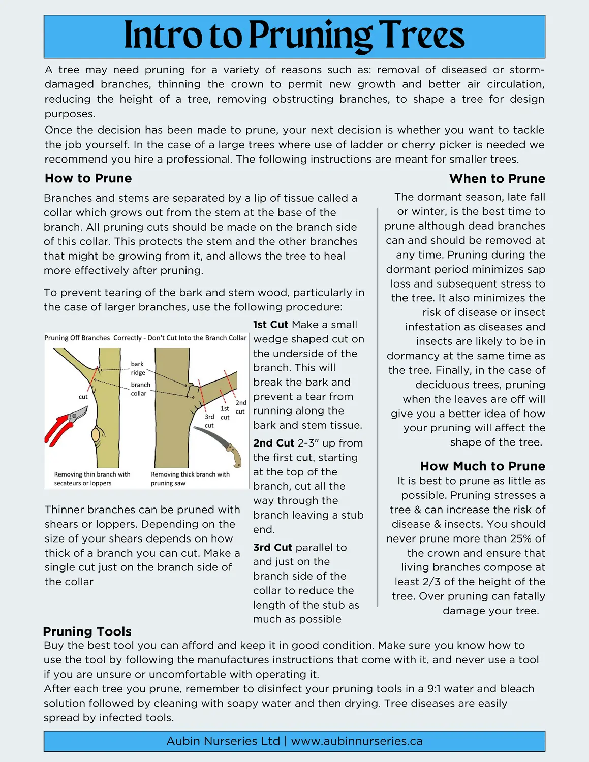 Intro to Tree Pruning