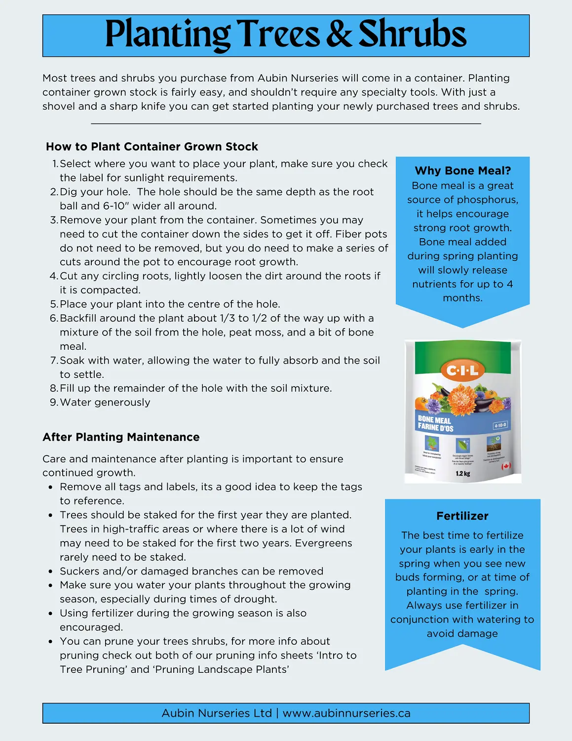 Planting Trees & Shrubs