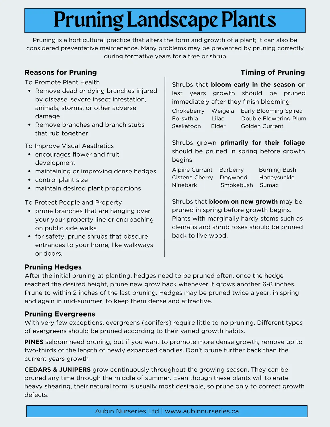 Pruning Landscape Plants