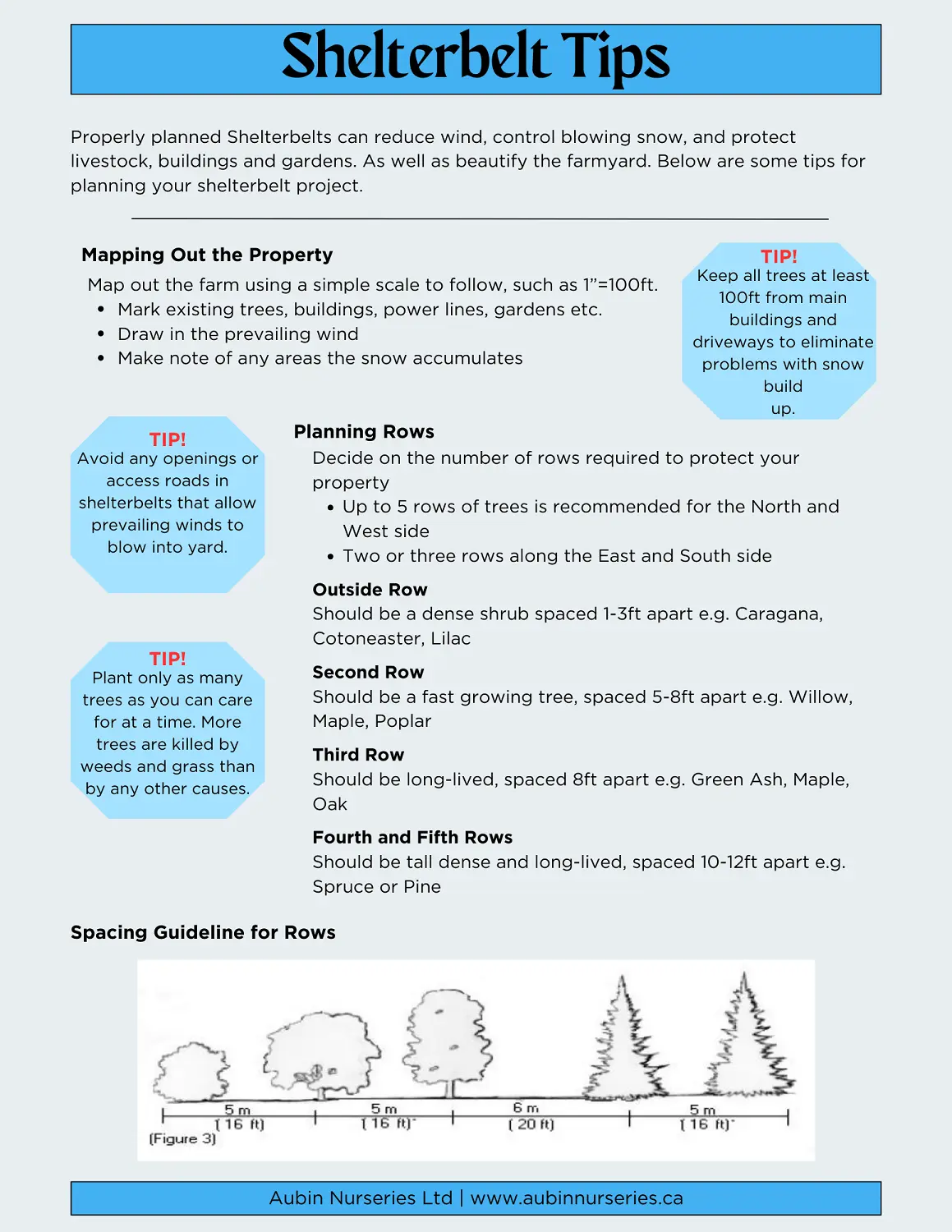 Shelterbelt Planting