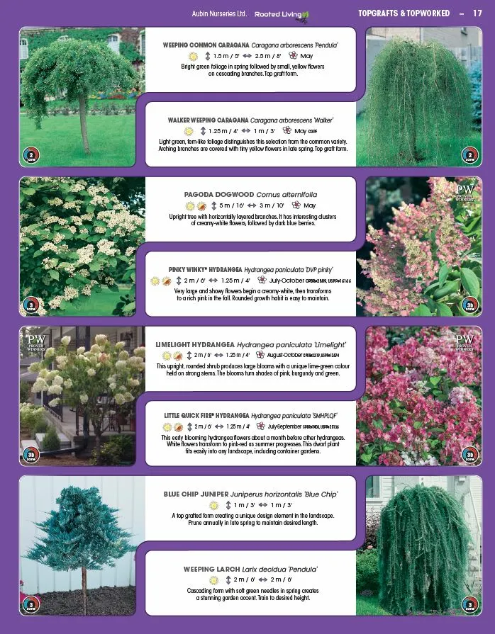 Topgraft & Topworked