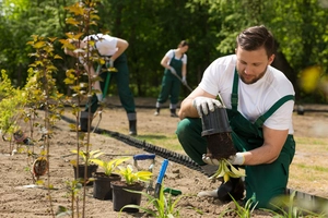 Nursery Employee