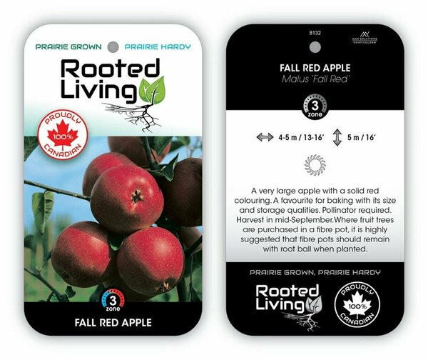 Malus - 'Fall Red' Apple 7 gal