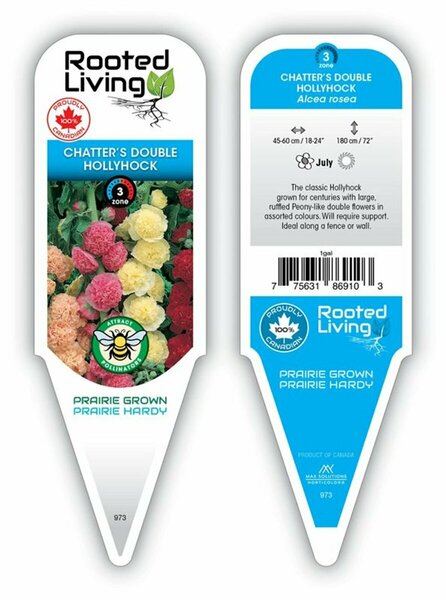 Alcea rosea - 'Chatter's Double' Mix Hybrids Hollyhock 1 gal