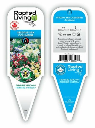 Aquilegia - 'Origami Mix' Columbine 11 cm Prem (4.5")