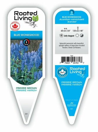 Aconitum carm. - 'Arendsii' Monkshood 1 gal - image 2