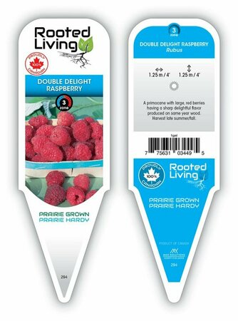 Rubus - 'Double Delight' Raspberry 1 gal
