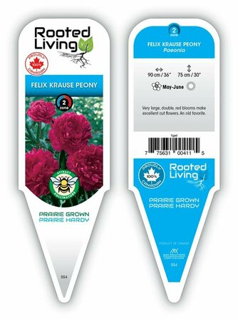 Paeonia - 'Felix Krause' Peony [Dbl Rd] 2 gal