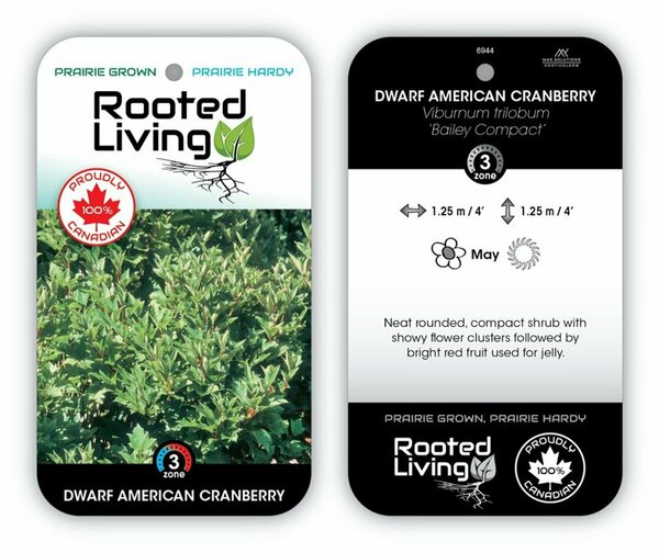 Viburnum trilobum - 'Bailey Compact' Cranberry 1 gal