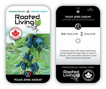Lonicera - 'Polar Jewel' Haskap / Honeyberry RP38deep