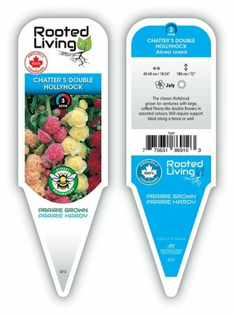 Alcea rosea - 'Chatter's Double' Mix Hybrids Hollyhock 1 gal