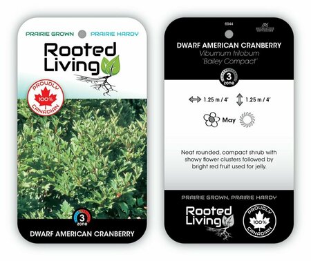 Viburnum trilobum - 'Bailey Compact' Cranberry RP21