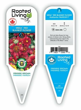 Gaillardia Mesa™ - 'Red' Blanket Flower 1 gal - image 1