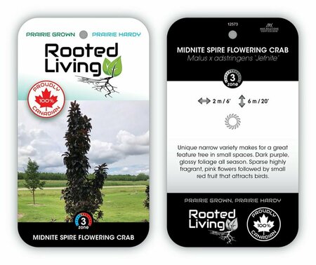 Malus - 'Midnight Spire' Columnar Flower Crab 10 gal