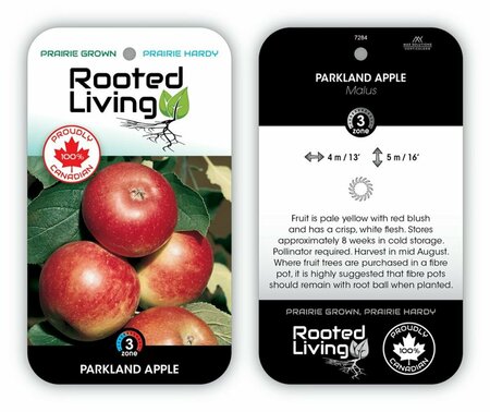 Malus - 'Parkland' Apple 5-6ft FP