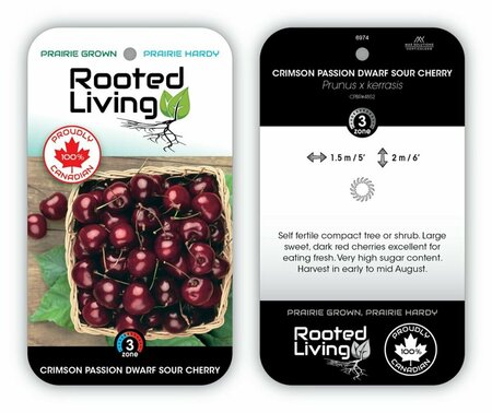 Prunus x ker. - 'Crimson Passion' Dwarf Sour Cherry 1 gal