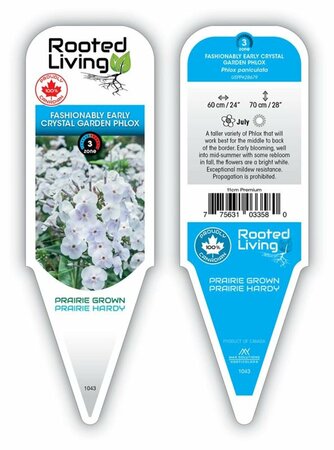 Phlox pan. - Fashionably Early™ 'Crystal' 2 gal outdoor