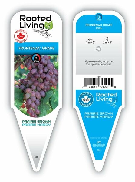 Vitis - 'Frontenac' Red Grape 1 gal