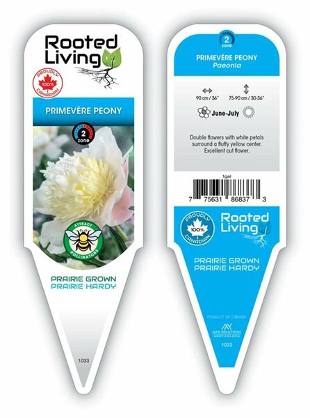 Paeonia - 'Primevère' Peony [Dbl Ylw] 2 gal